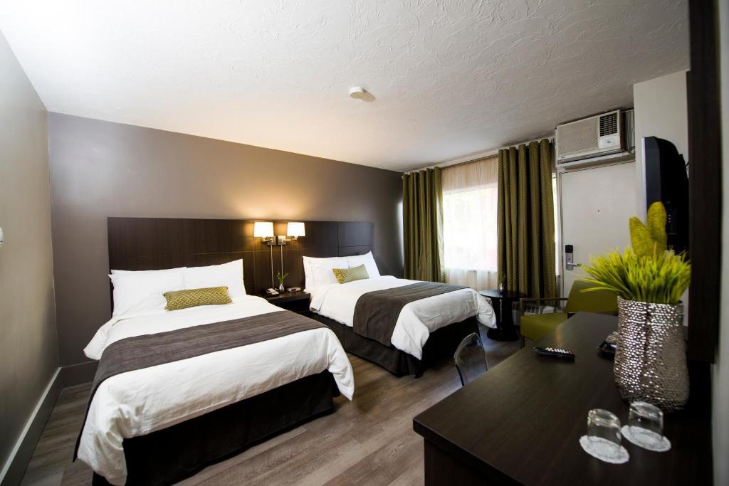 מונקטון V Hotel & Suites חדר תמונה
